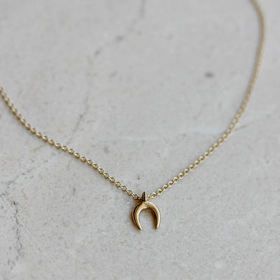 Tiny Horse Shoe Necklace 14k Gold Necklaces