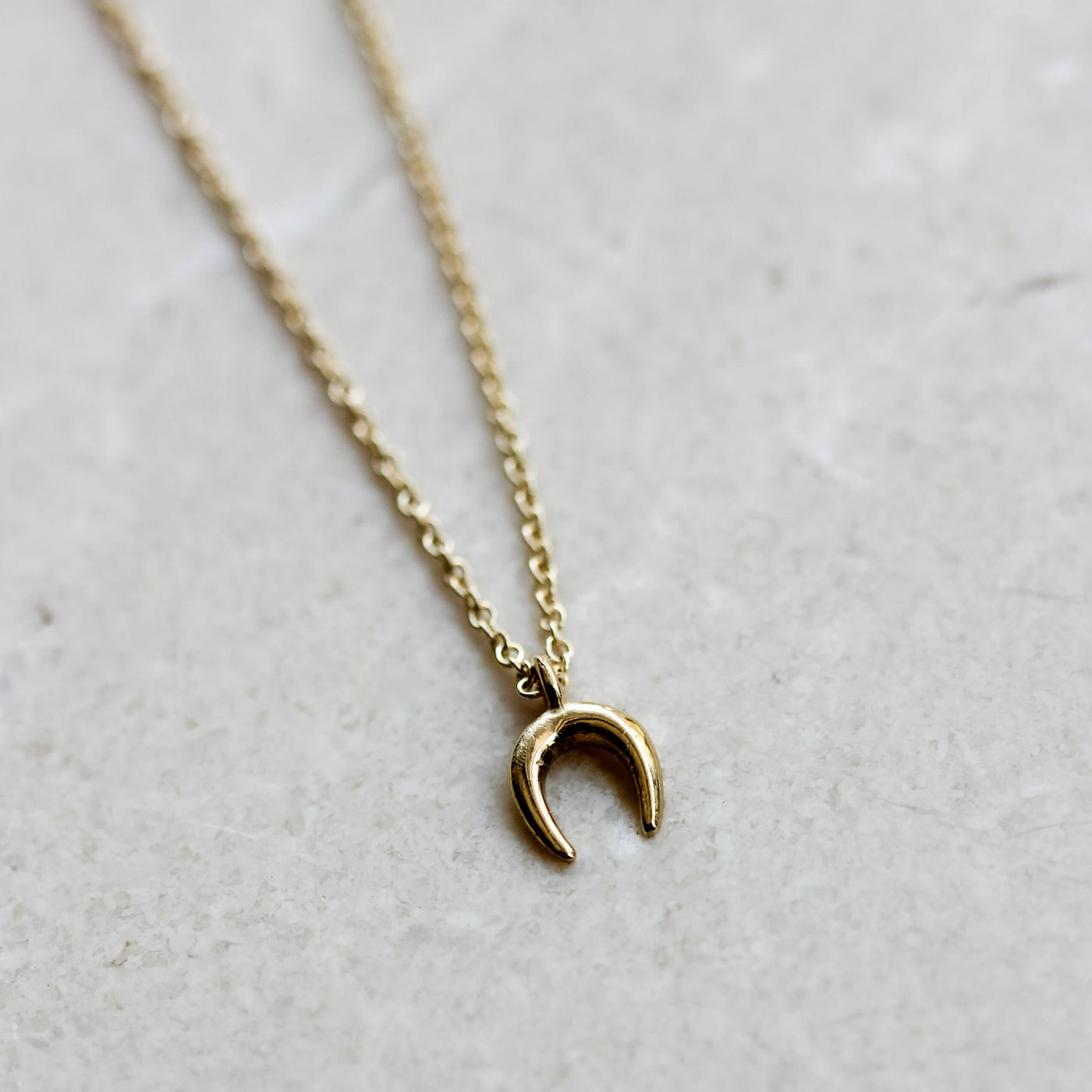 Tiny Horse Shoe Necklace 14k Gold Necklaces