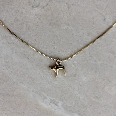 Hai Necklace 14k Gold Necklaces