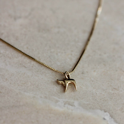 Hai Necklace 14k Gold Necklaces