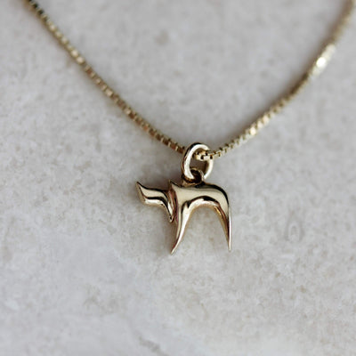 Hai Necklace 14k Gold Necklaces