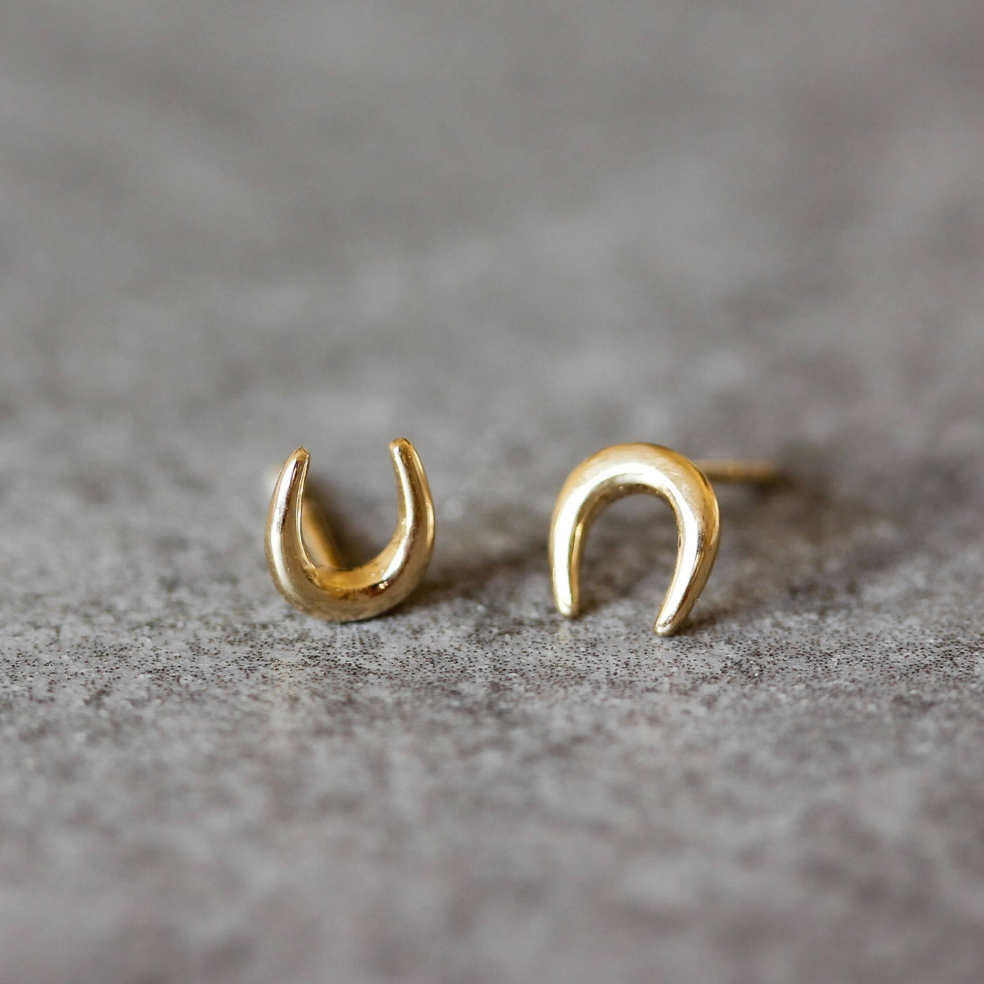 Horseshoe Earring 14K Gold Earrings 